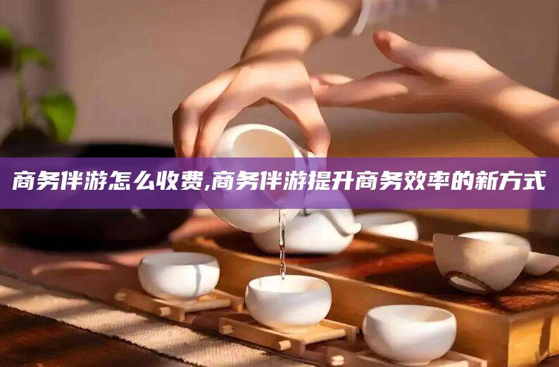 滨州商务伴游怎么收费,商务伴游提升商务效率的新方式