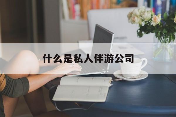 滨州网上说的伴游什么意思最新资讯（谁能告诉我哪里有滨州什么是私人伴游公司？）